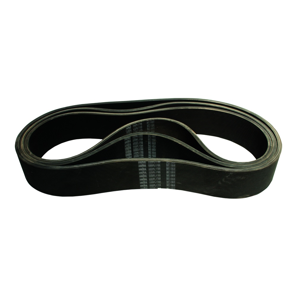 Polly V Kayışları