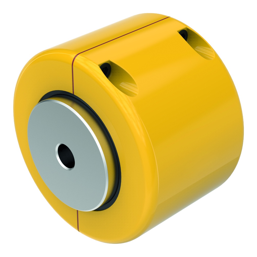 Zincir Kaplin (Takım)